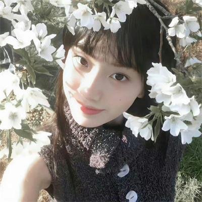 信长的忍者